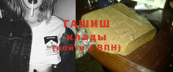 сатива Баксан