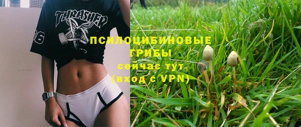 амф Балахна