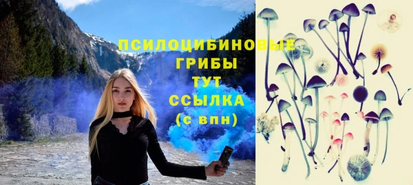 гидропоника Балабаново
