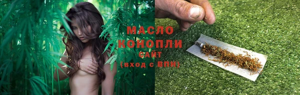 сатива Баксан