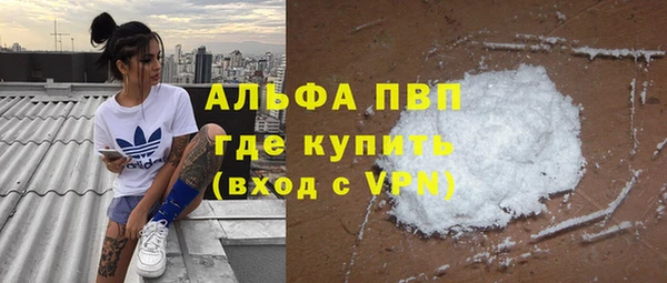 сатива Баксан