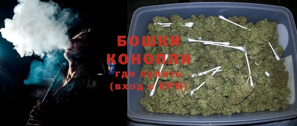 сатива Баксан
