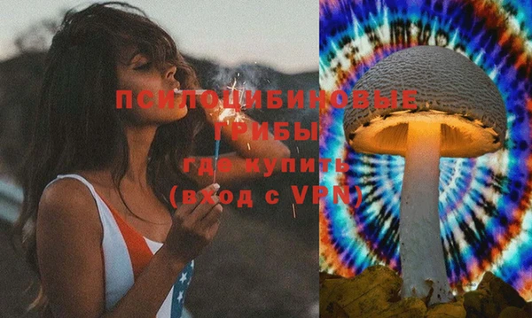 амф Балахна