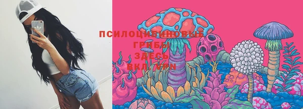 амф Балахна